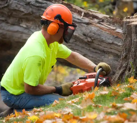 tree services Kingsford